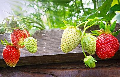 竞速游戏《无限试驾：太阳王冠》将于5月30日发布特别公告